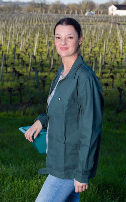 woman in grape harvest with big basket